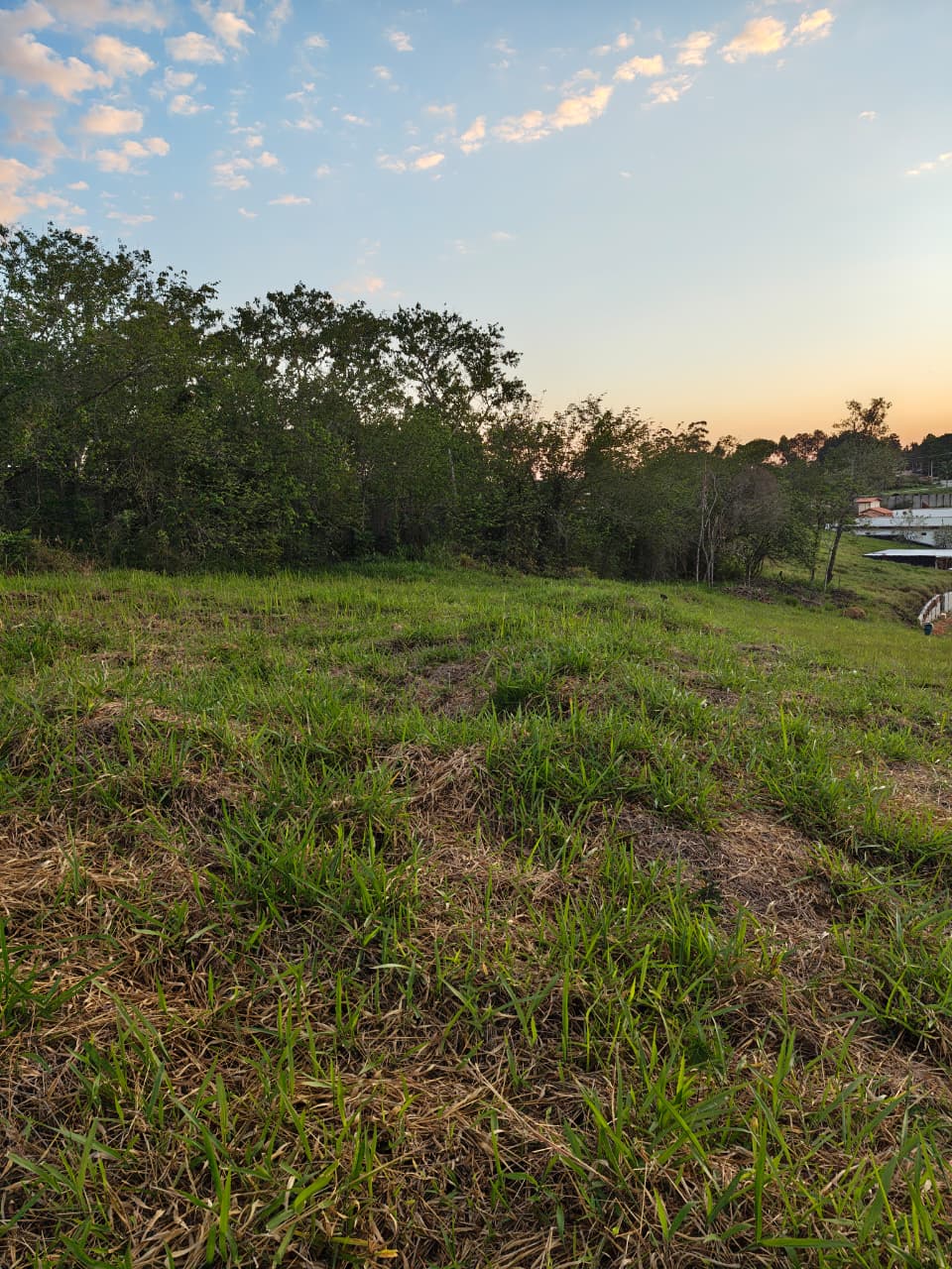 Leia mais sobre o artigo Lote Exclusivo com Vista para a Mantiqueira