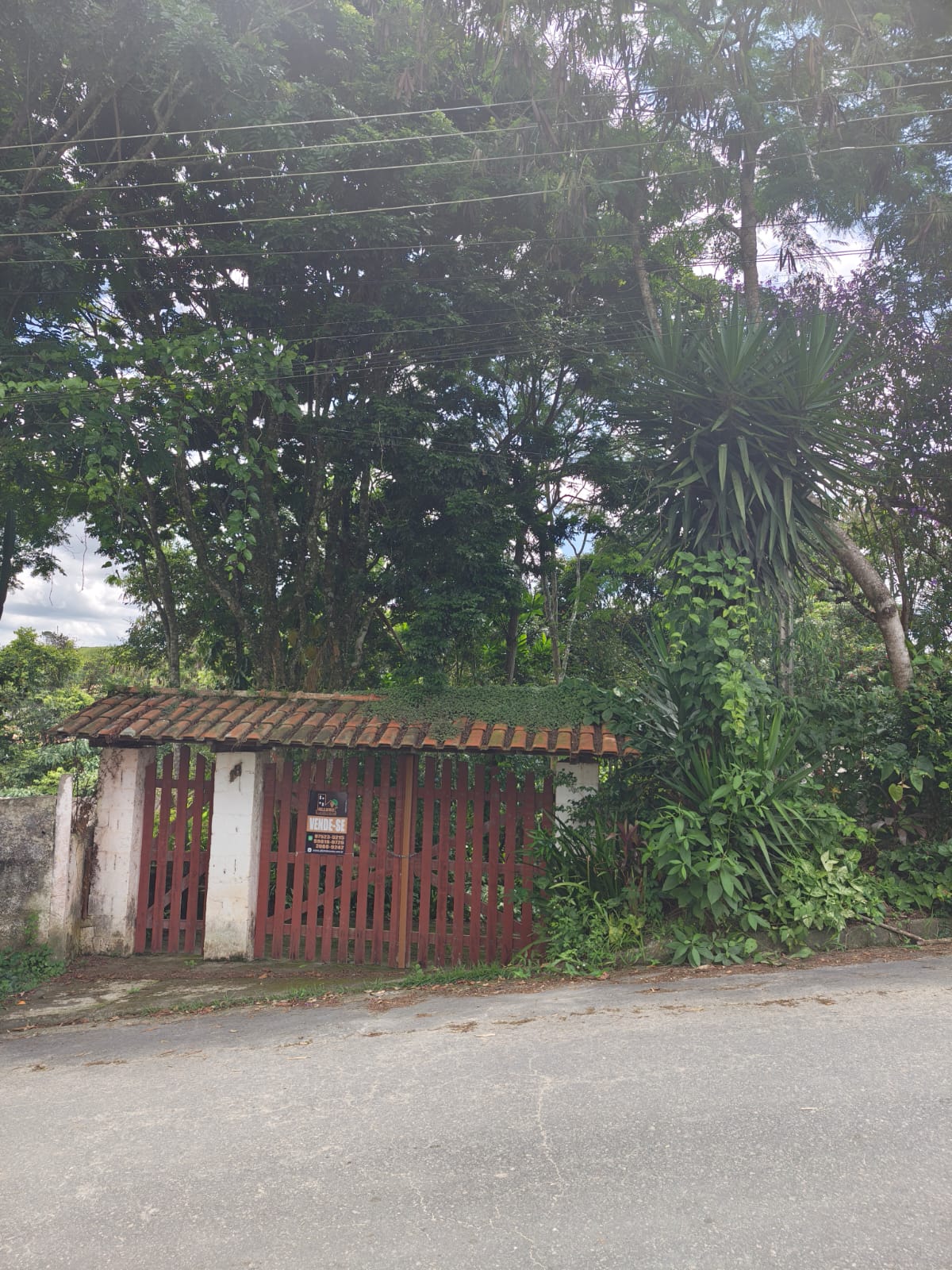 Leia mais sobre o artigo Refúgio no campo perto de São Paulo: casa simples com quintal amplo e muito potencial