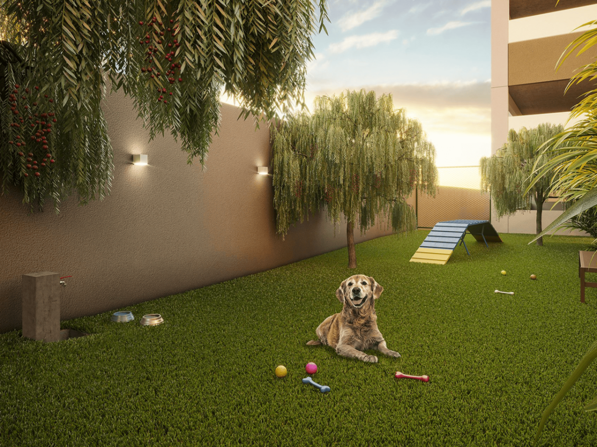 17-Perspectiva-artistica-do-pet-place