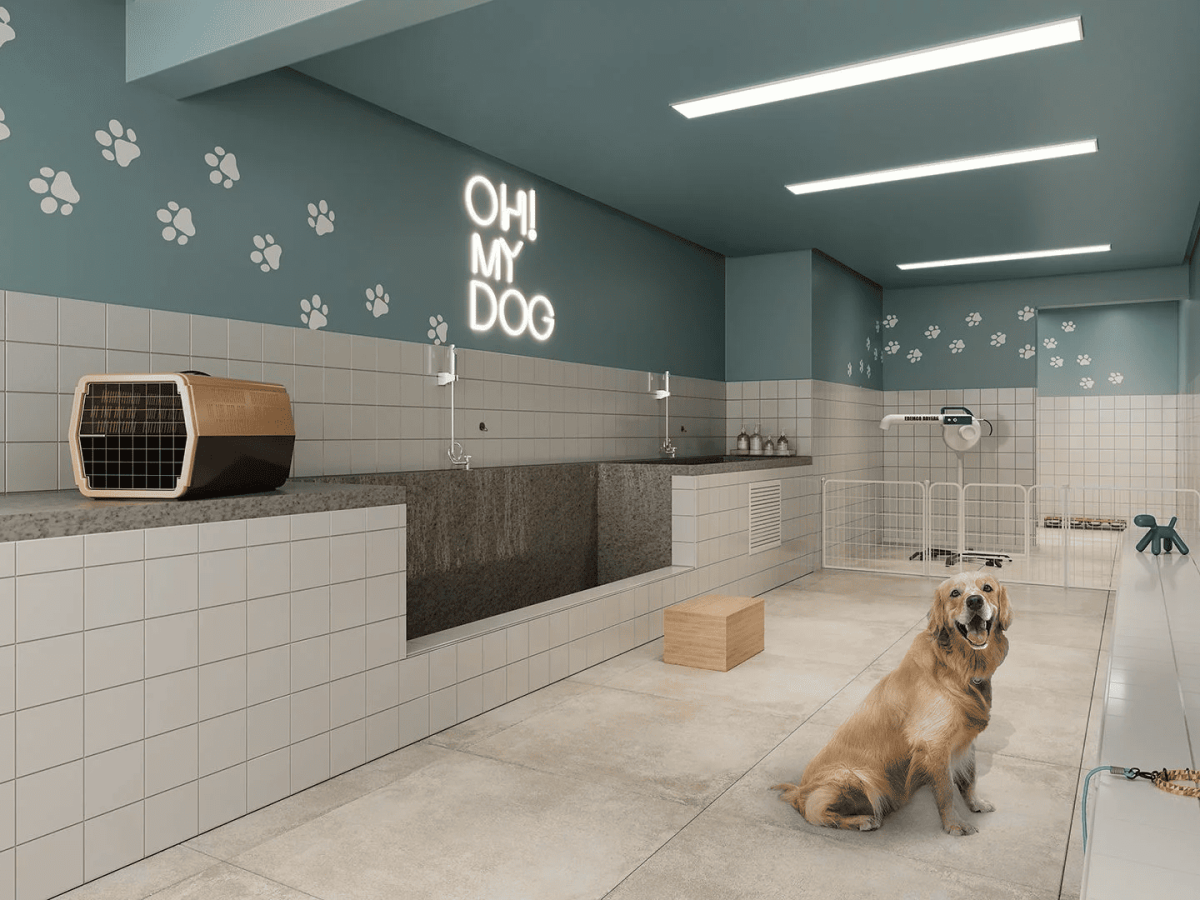 Perspectiva-artistica-do-pet-care