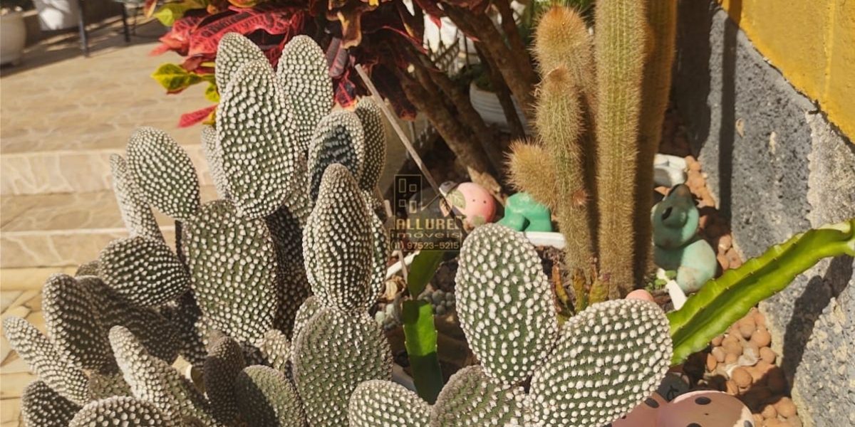 WhatsApp-Image-2023-05-01-at-19.01.05