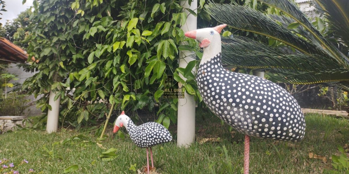 WhatsApp-Image-2023-05-01-at-19.01.06