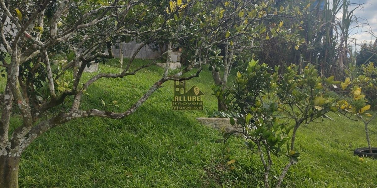 WhatsApp-Image-2023-05-01-at-19.01.07-1-1