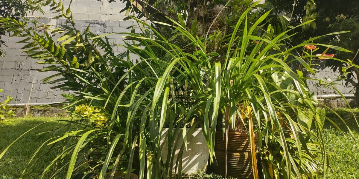 WhatsApp-Image-2023-05-01-at-19.01.08-1