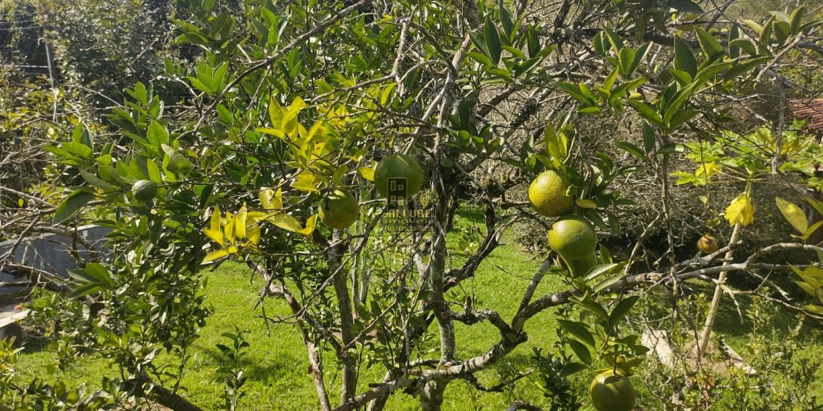 WhatsApp-Image-2023-05-01-at-19.01.10