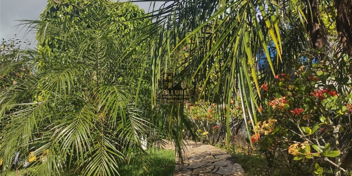 WhatsApp-Image-2023-05-01-at-19.01.20