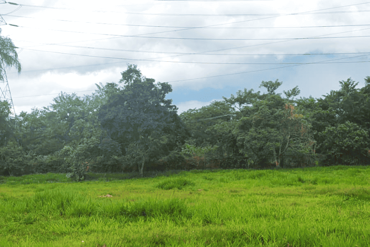 Residencial da Ilha