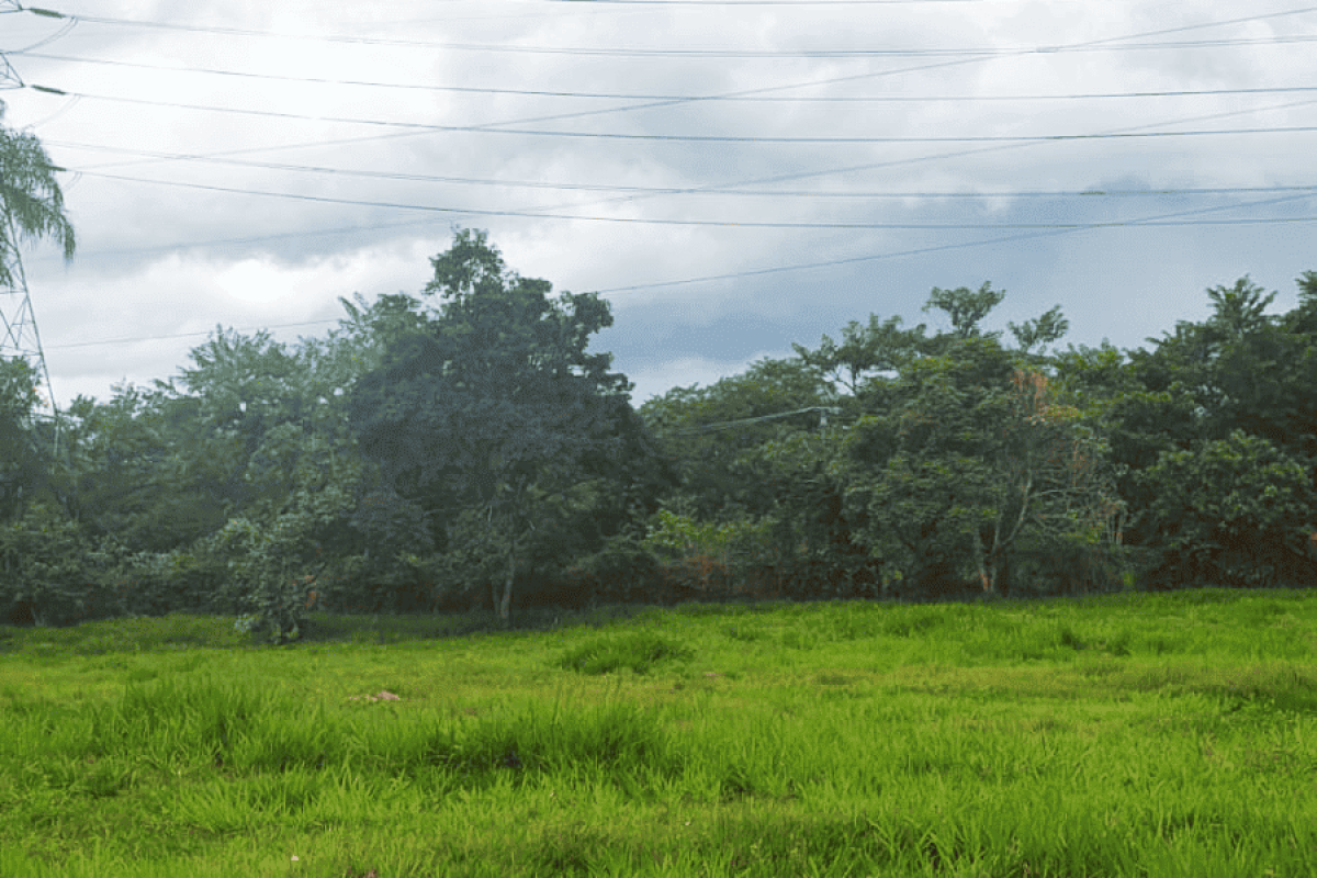 Residencial da Ilha