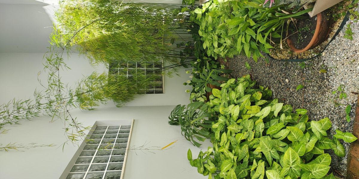 casa_terrea_sta_isabel (2)