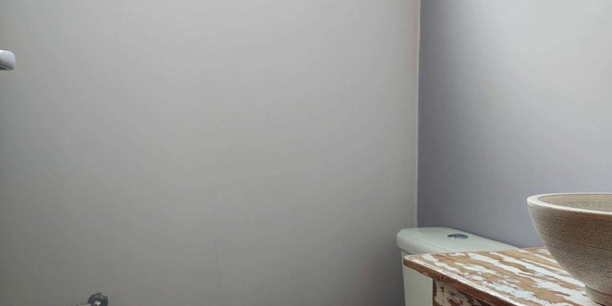 casa_terrea_sta_isabel (30)