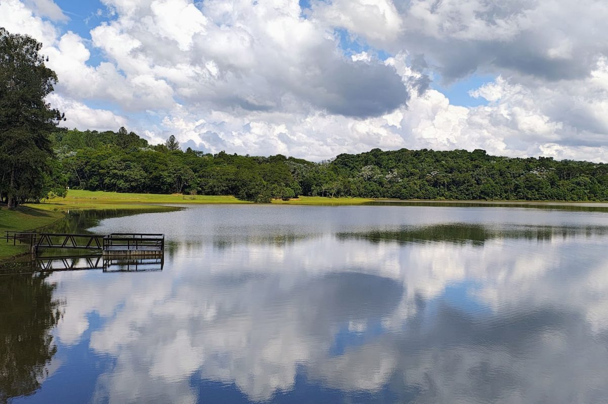 Lago