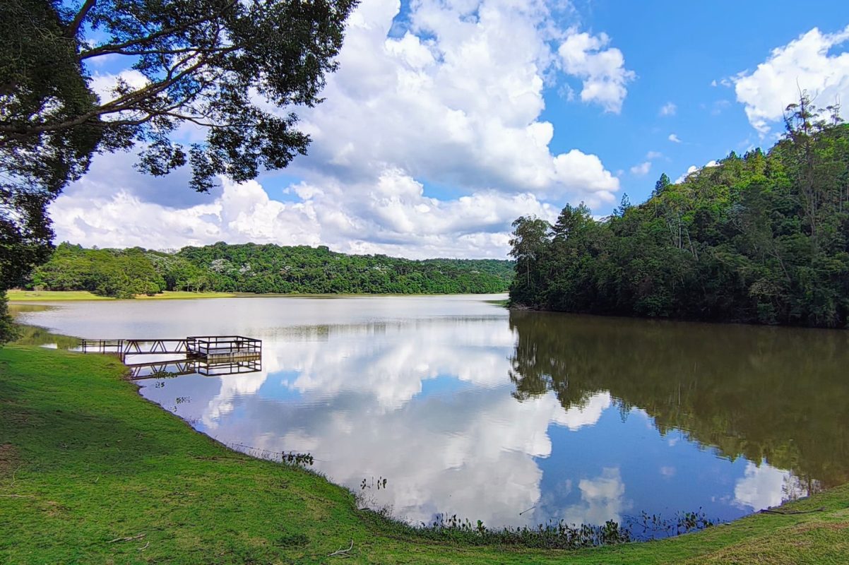 Lago