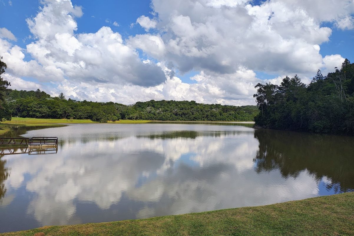 Lago