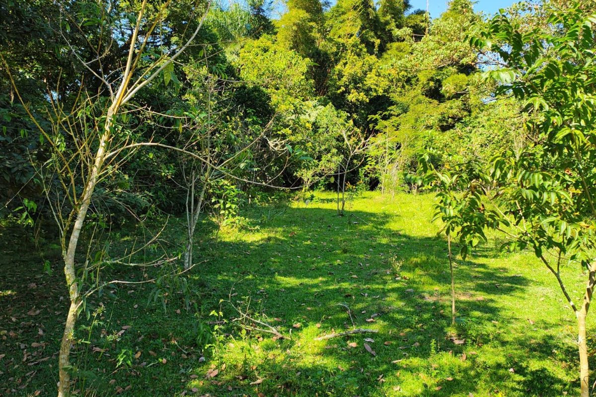 Residencial da Ilha