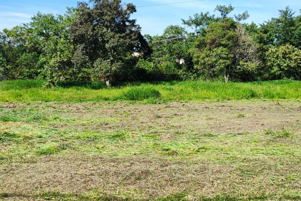Residencial da Ilha