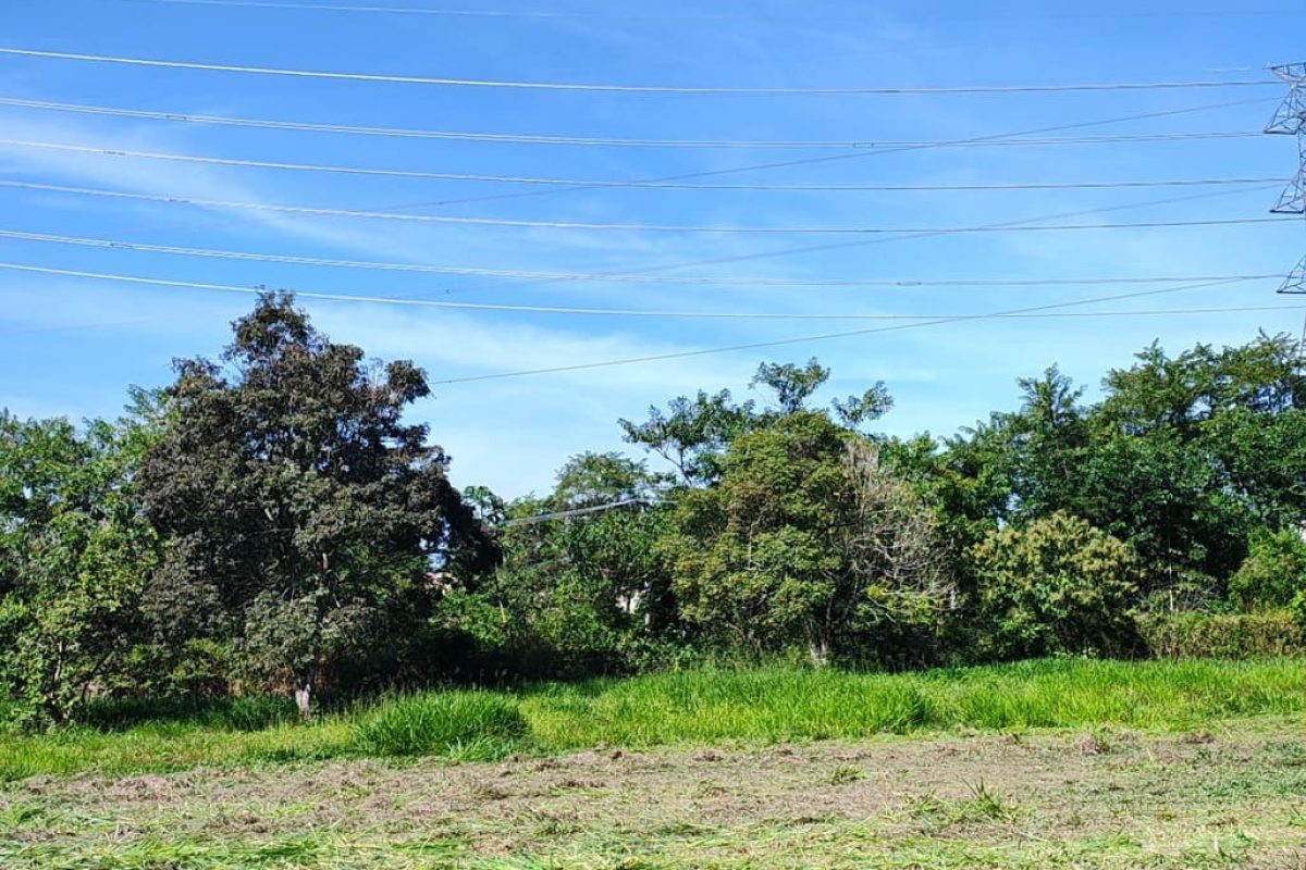 Residencial da Ilha