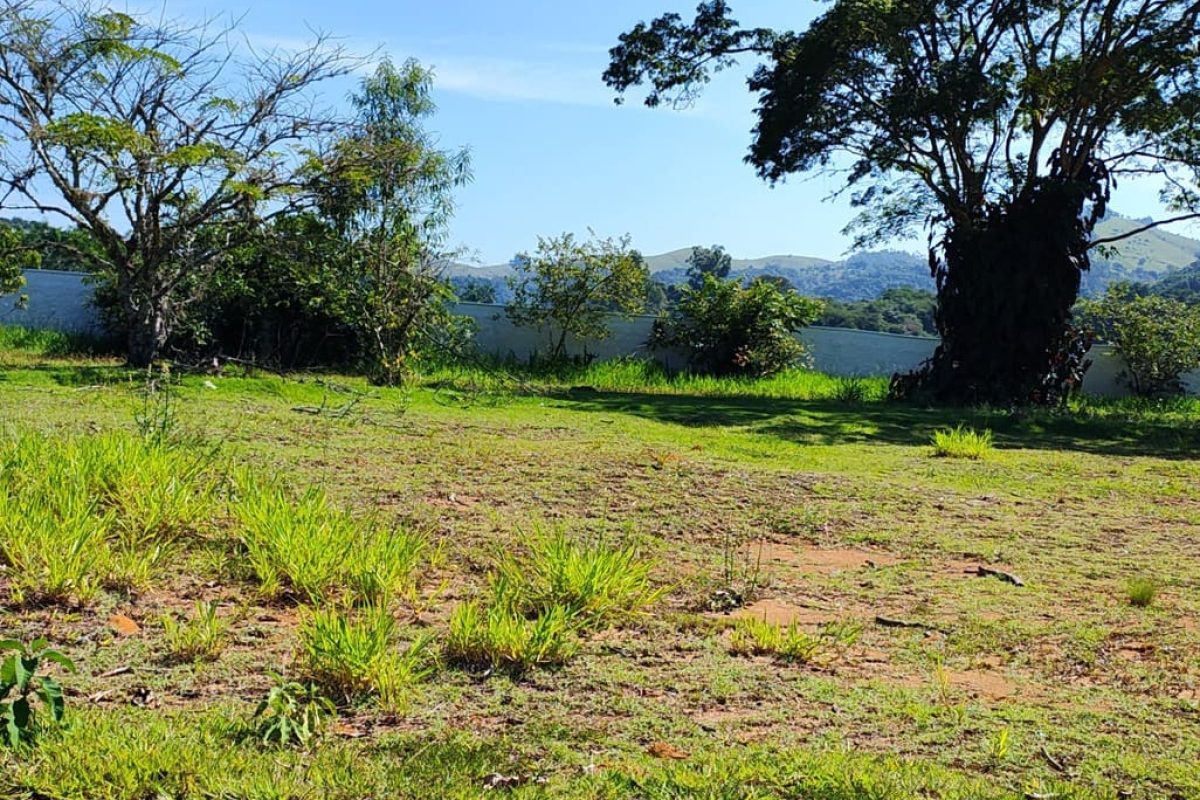 Residencial da Ilha